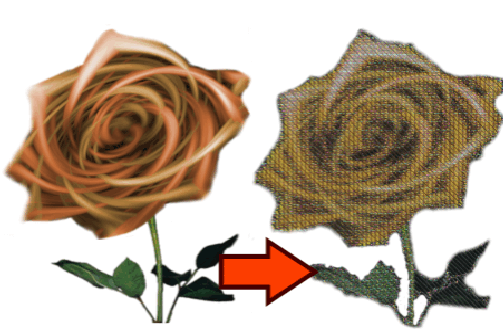 photostitch